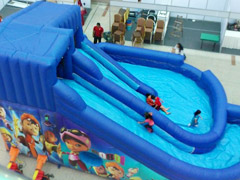 Giant Inflatable Water Slide Cl