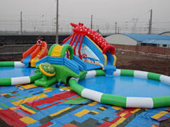 Inflatable Water Slide Large Fl