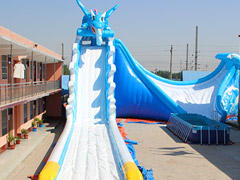 Adult Size Slide Inflatable Wat