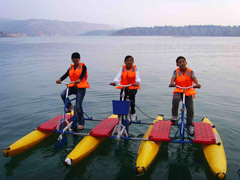 <b>Three Water Bike YT-LWB006</b>